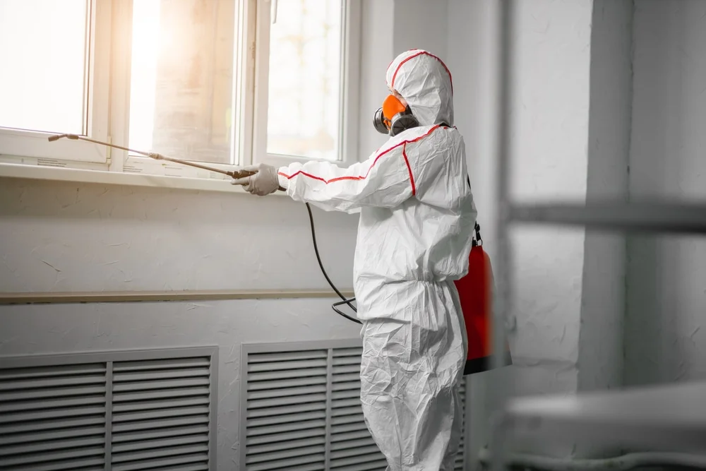 Professional mold remediation services in Melbourne Beach, FL